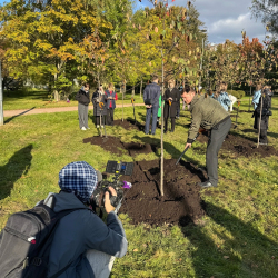 В Пионерском парке заложили Аллею педагогов!